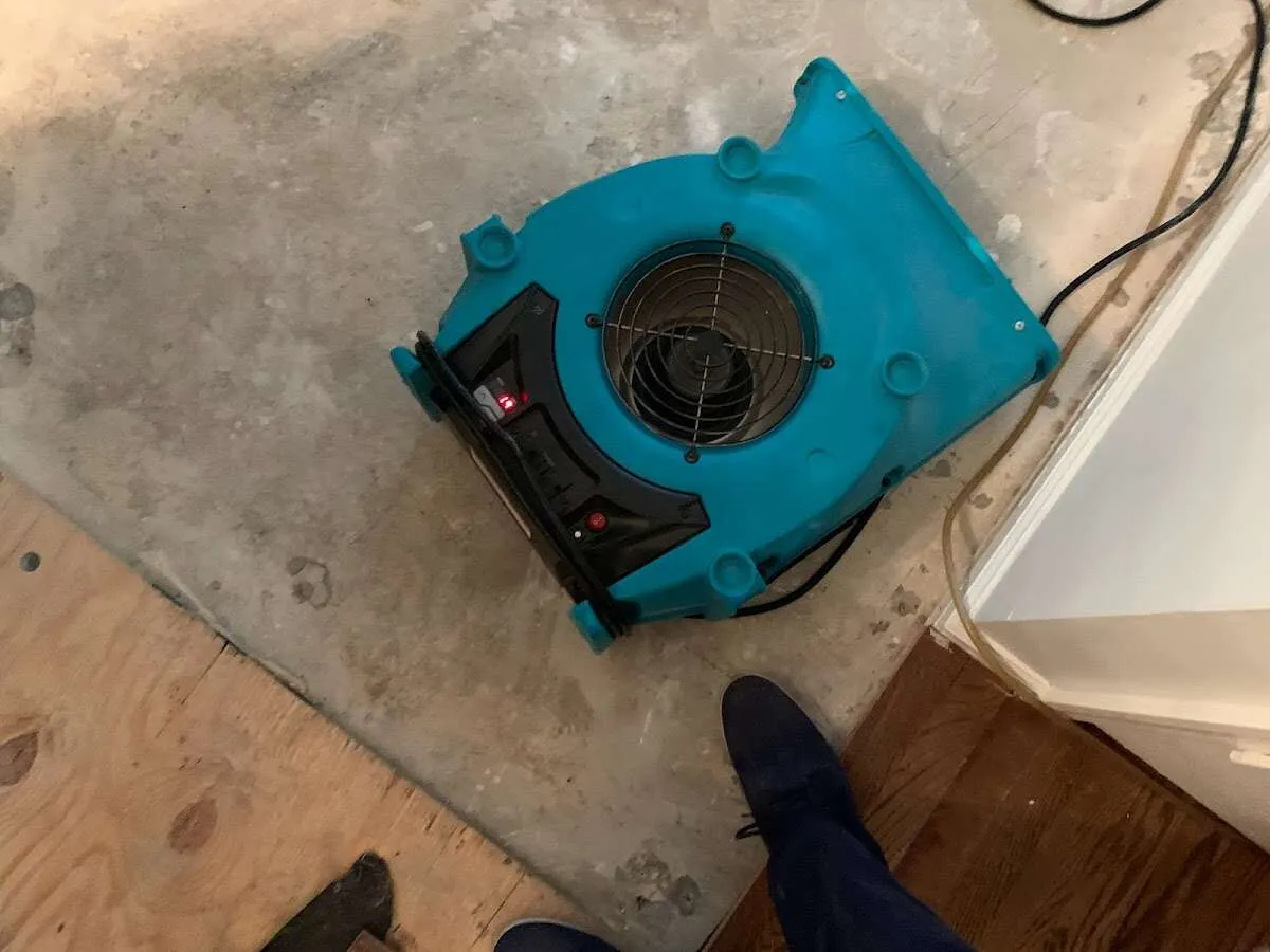 Air mover drying subfloor during Leak Detection & Repair in Melrose Park